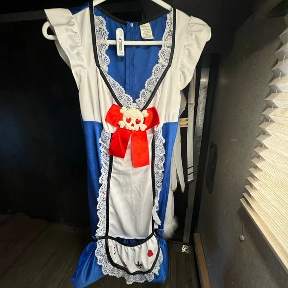 Halloween Costume Alice In Wonderland - Picture 9 of 9